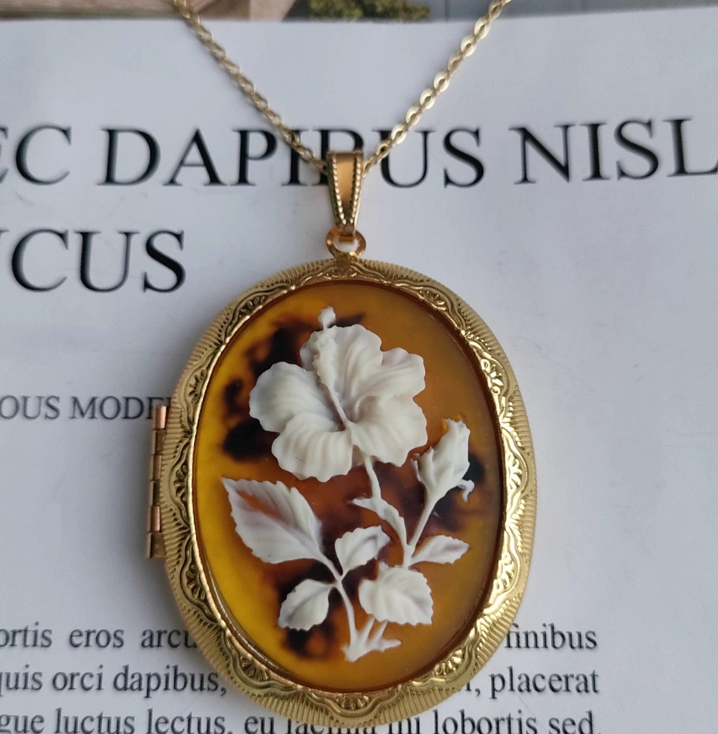 Mypinknyc 青铜色 Victorian Style Cameo Photo Locket Pendant Necklace