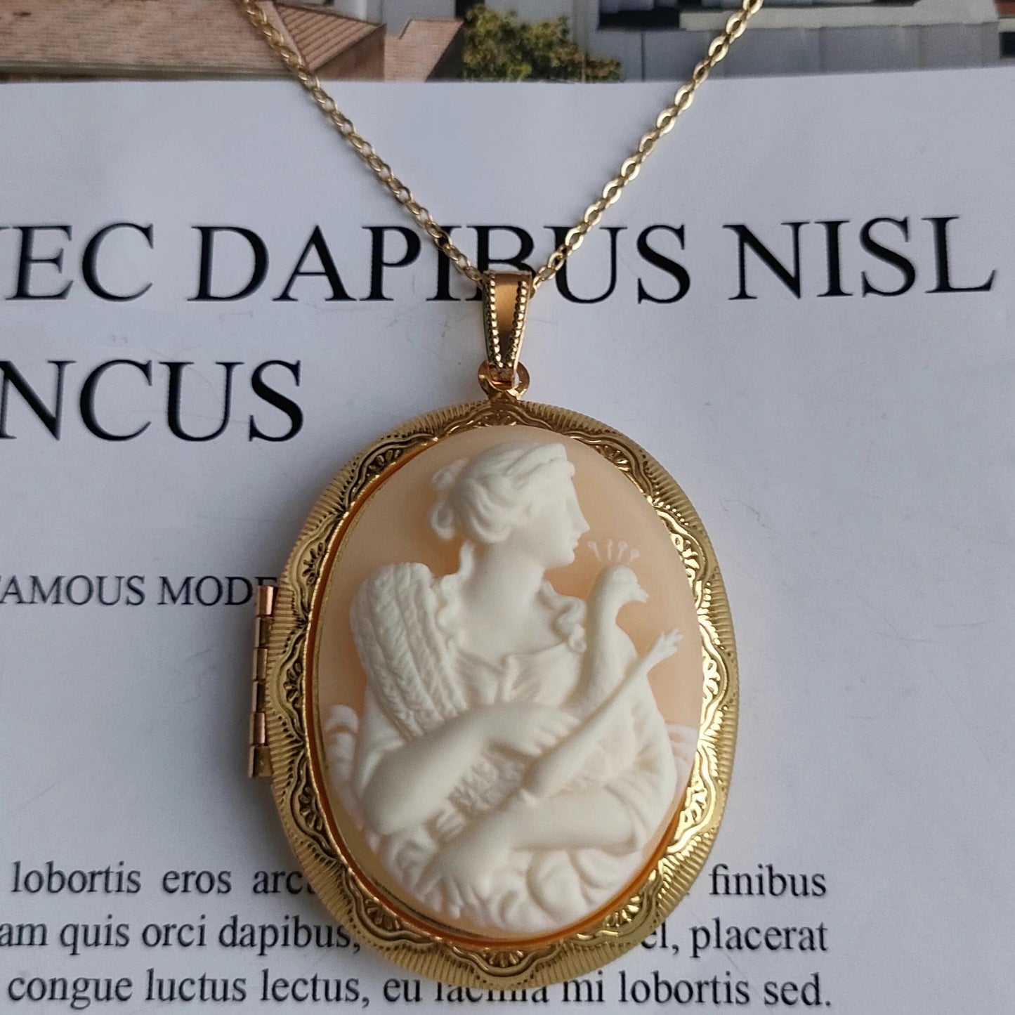 Mypinknyc 茶色 Victorian Style Cameo Photo Locket Pendant Necklace