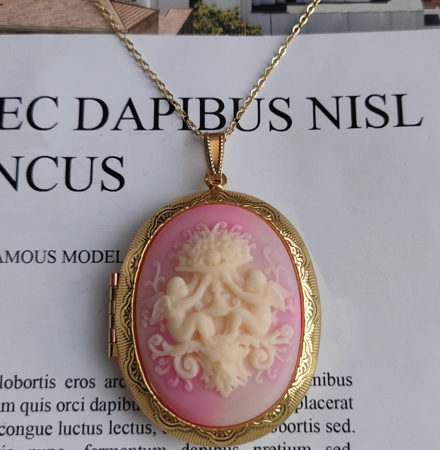 Mypinknyc 粉红色 Victorian Style Cameo Photo Locket Pendant Necklace