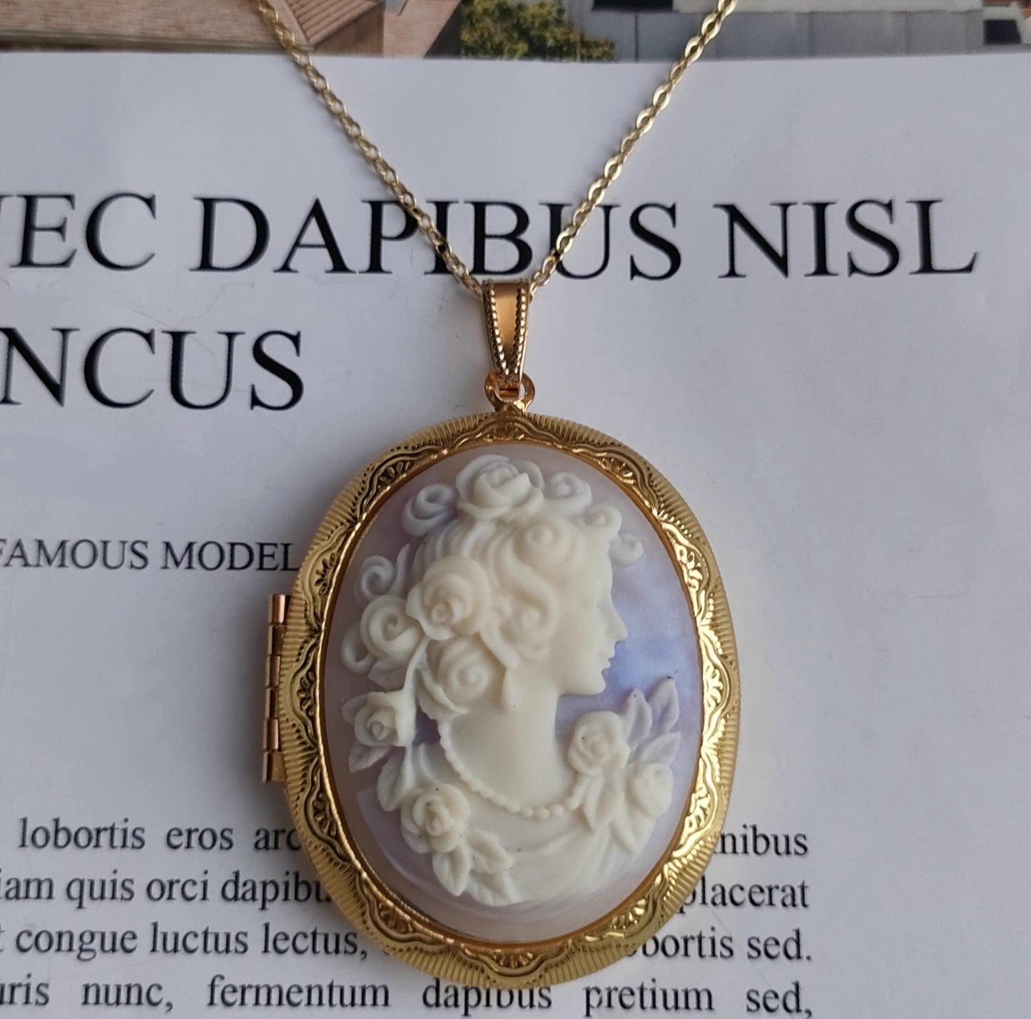 Mypinknyc Blue Victorian Style Cameo Photo Locket Pendant Necklace